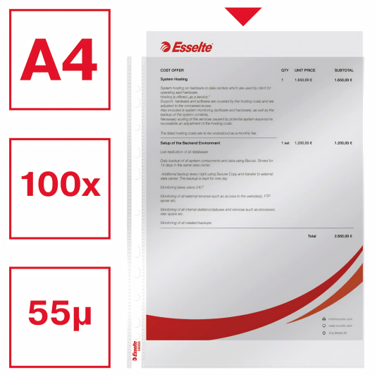 Koszulki A4 Esselte 55 mic krystal pudelko 100 szt