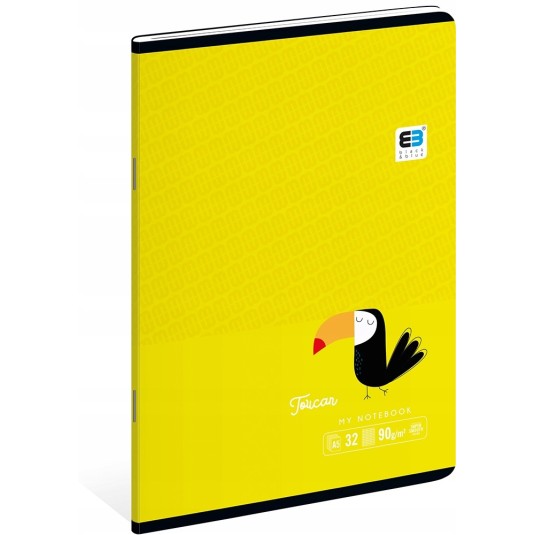 Zeszyt Interdruk A5/32 kartki kratka B&B KIDS - mix