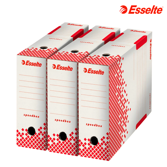 Pudło Esselte Speedbox 10 cm archiwizacyjne