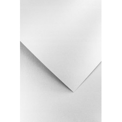 PAPIER WIZYT. PEARL DIAMENTOWA BIEL 210G OP.20 SZT.