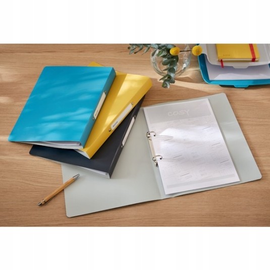 Segregator A4/25 Leitz Active COSY 2R niebieski