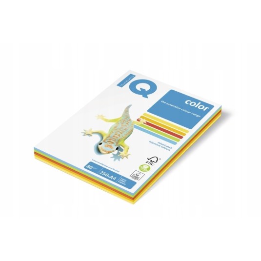 Papier ksero uniwersalny mix pastelowy 80g/m2 xero