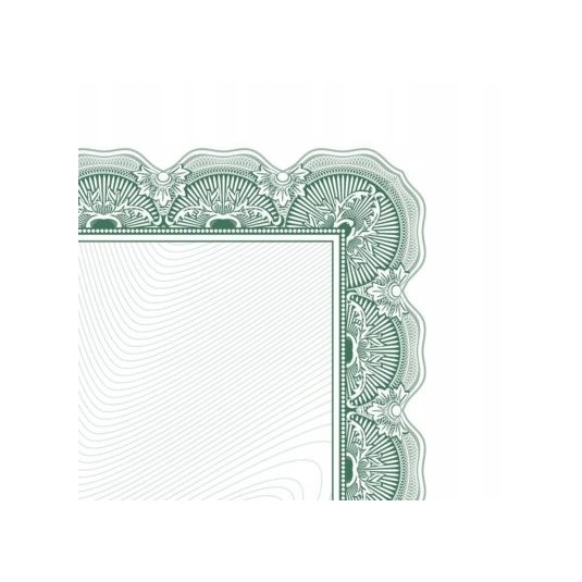 Dyplom ARNIKA A4 170g 25 arkuszy