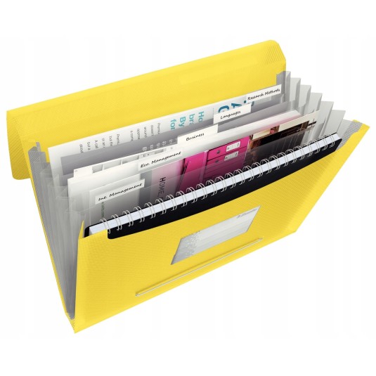 Teczka Esselte 6 przegródek VIVIDA A4 żółta