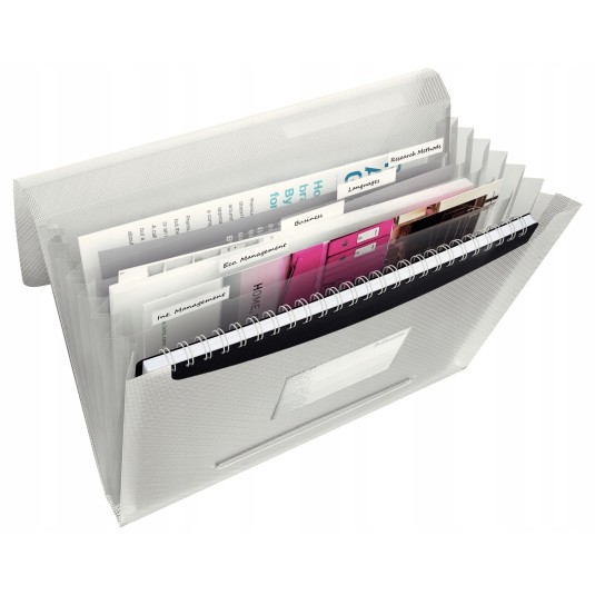 Teczka Esselte 6 przegródek VIVIDA A4 biała