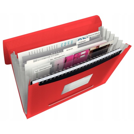 Teczka Esselte 6 przegródek VIVIDA A4 czerwona