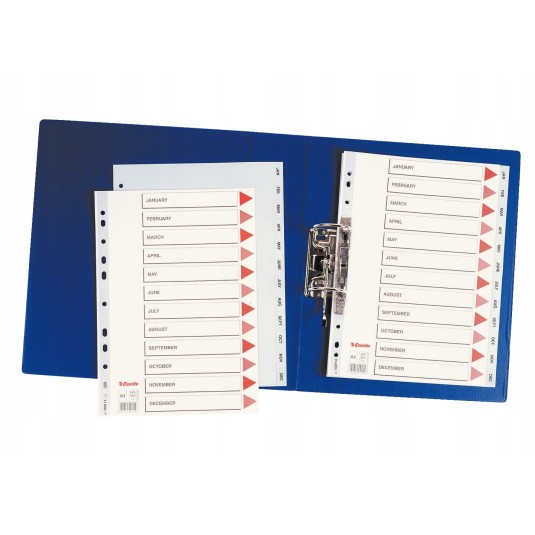 Przekładki Esselte A4 PP szare index 12 miesięcy