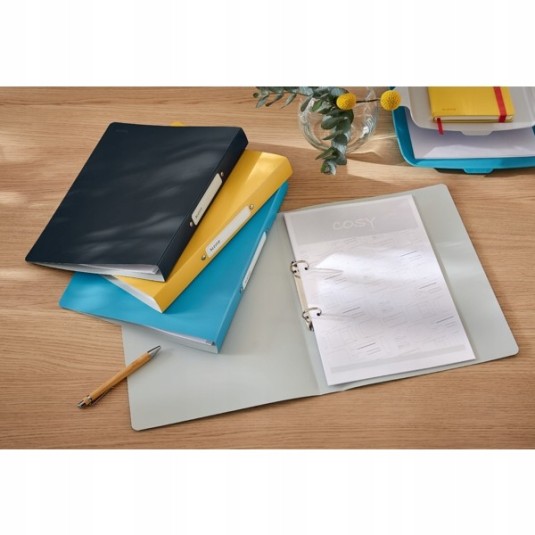 Segregator Leitz Active COSY 2 ring A4/25 szary