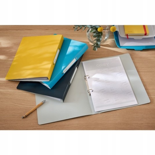 Segregator Leitz Active COSY 2 ring A4/25 żółty