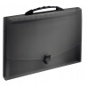 Teczka z rączką Esselte 12 przegródek czarna