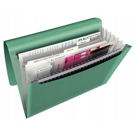 Teczka Esselte 6 przegródek Colour`Ice zielona