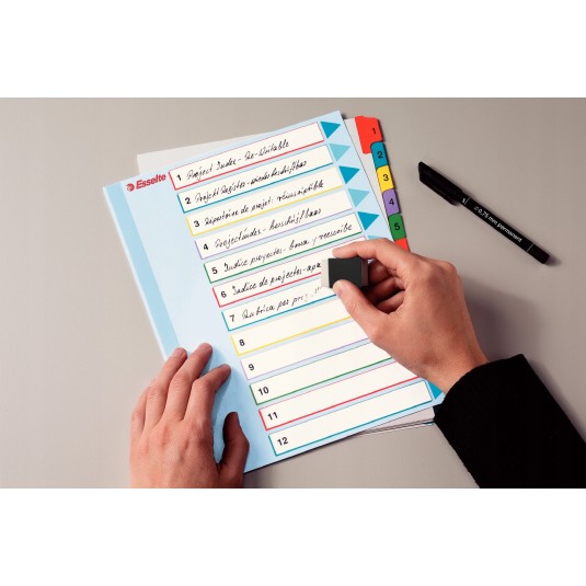 Przekładki Esselte A4 do wielokrotnego opisu 1-5