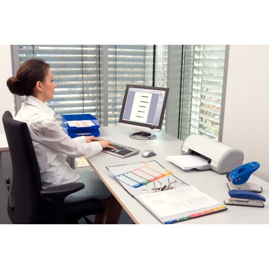 Przekładki do segregatora Esselte A4 Maxi 1-12 PP