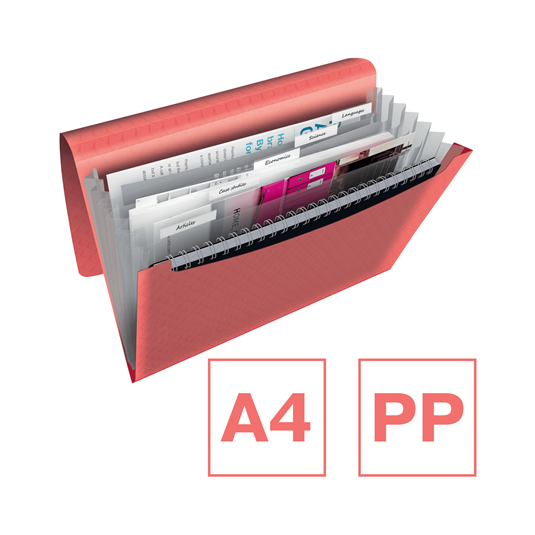 Teczka Esselte 6 przegródek Colour`Breeze koralowa