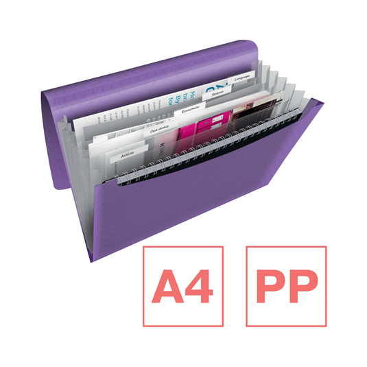 Teczka Esselte 6 przegródek Colour`Breeze lawendowa