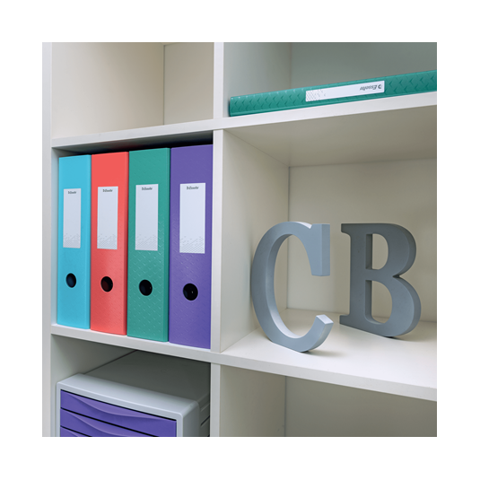 Segregator A4/82 Esselte Colour'Breeze koralowy polyfoam