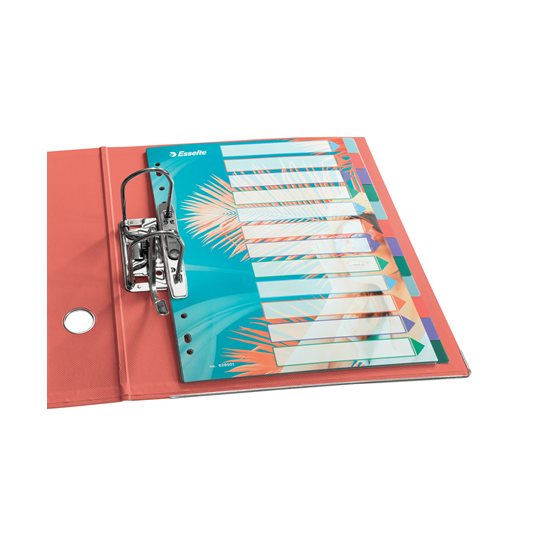 Przekładki Esselte Colour'Breeze A4 z indeksami, 6 przekładek, PP