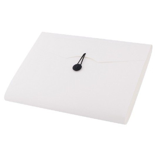 Teczka d.rect 5580 harmonijkowa 12 przegródek biała